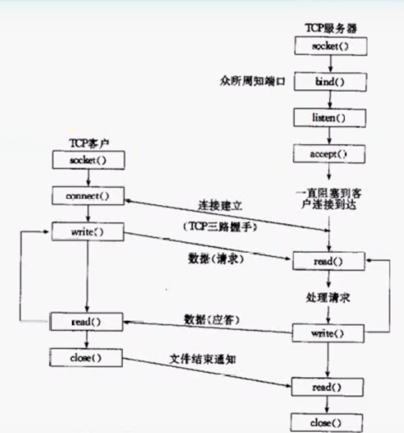 cs模型结构